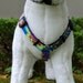Dog Harness with Flower or Bow Tie Set - Traditional or Step-In - Pick Any Fabric in Shop
