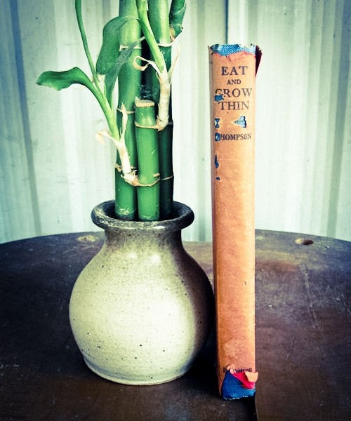 Hard Cover Vintage Book, Eat and Grow Thin, The Mahdah Menus, by Vance Thompson
