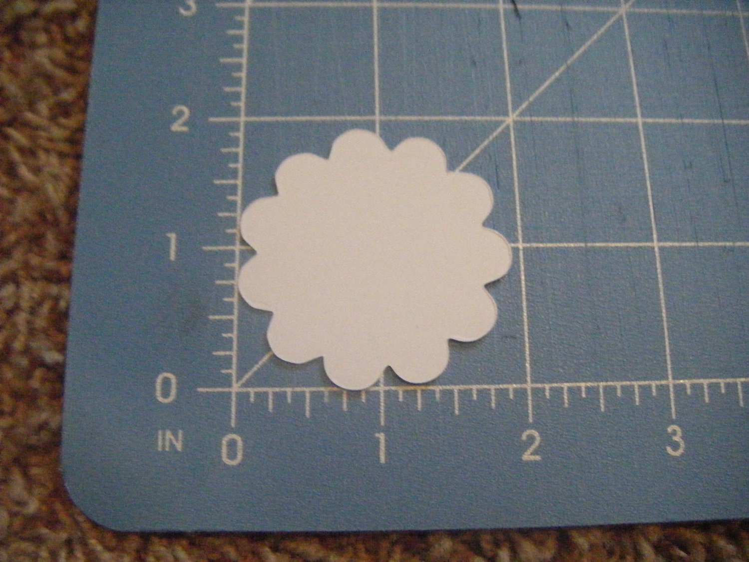 Die Cut Circles, Graduation, Birthday, Wedding Labels in Kraft or ANY color Set of 10 Large or 20 small