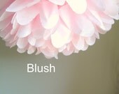 1 Large Blush Tissue Paper Pom Pom
