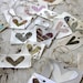 alternative guest book- 50 wish tree cards