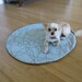 Pet Mat The Zabi Dot