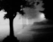 Fog, Limited Edition Traditional  B&W Photograph