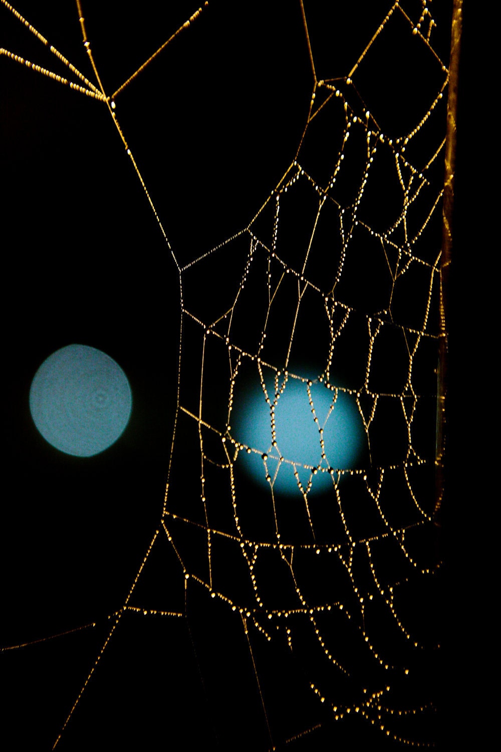 Web 2