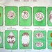 vintage school chart: double sided bird studies and cell division