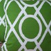 Decorative Pillows Two Throw Pillows Accent Pillow Cushion Covers Green Trellis18x18 Pillow Cases