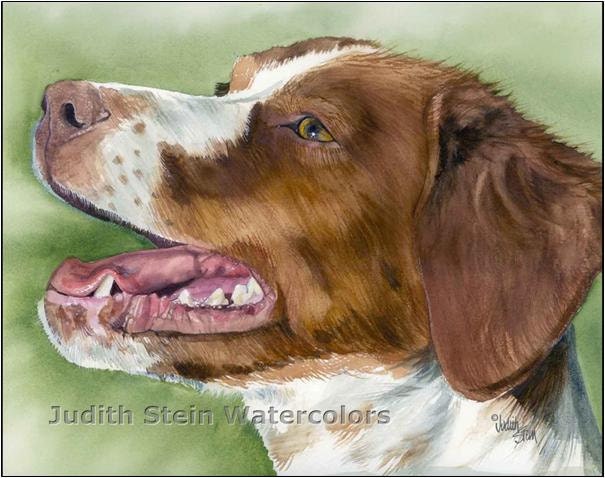 BRITTANY SPANIEL Dog 15x11 Signed Watercolor Art Print