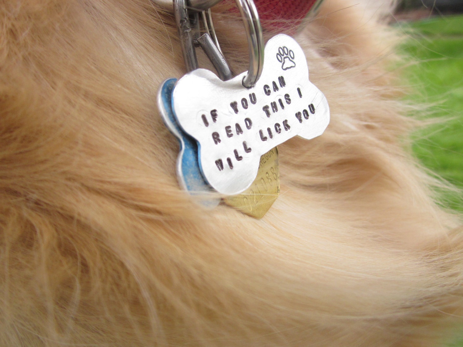 Funny Aluminum Hand Stamped Dog Bone Tag- "If you can read this I will lick you"