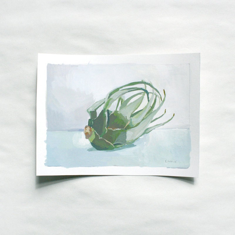 air plant art - original painting - still life
