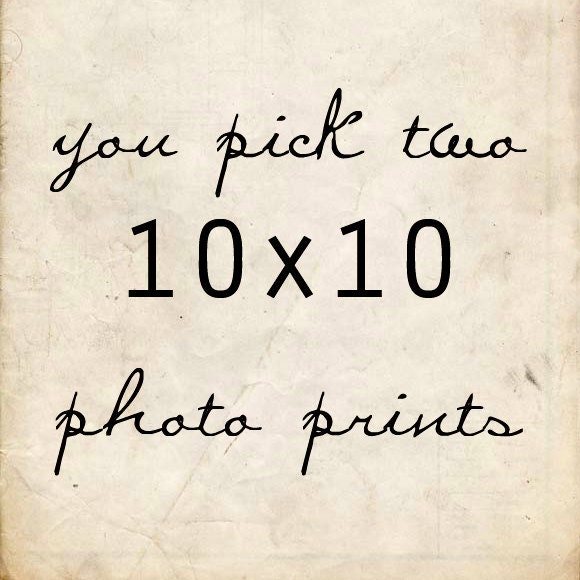 Photography Collection Any 2 10x10 Square Set of Prints