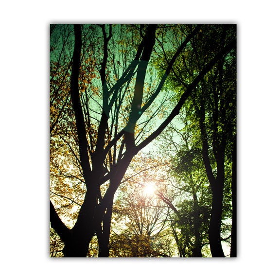 Spring Green Fairy Tree Photography 8x10 IN STOCK
