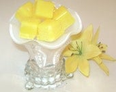 Vanilla BEAN Pound Cake,Highly Scented Tarts,Tart Burners,Heart Song Tarts,Wax Tarts,Bakery,Melt,Candles,Tarts,Scentsy Style