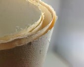 Cream Floral Handmade Paper Seconds