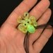 Small Glass Octopus pendant Radioactive Ooze
