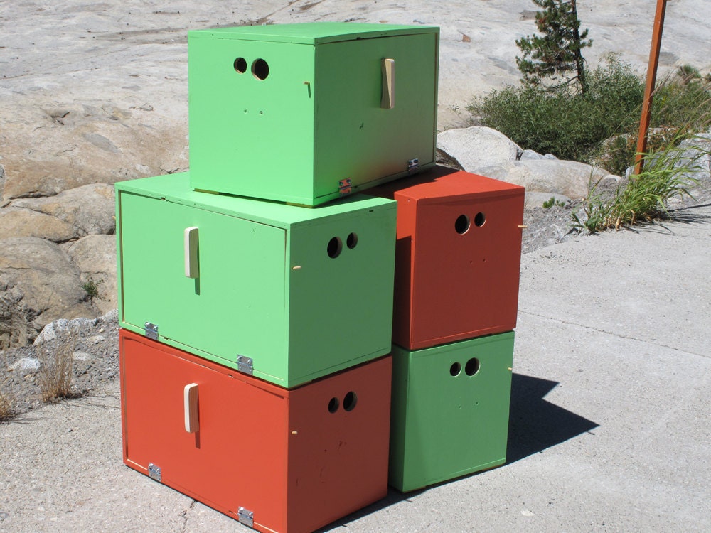Camp Boxes