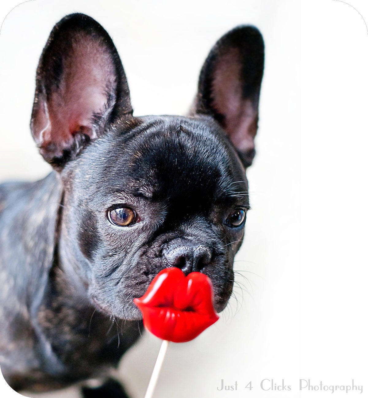 3 Color Plastic Lips on a Stick