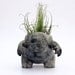 Raku Creature Pot (Planter)