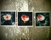 mushroom photographs on metallic paper