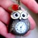 Owl Pocket Watch Necklace - Antique Brass Watch, Red Flower and Green Leaf - Harry Potter, Hedwig, Owl Watch Necklace