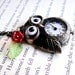 Owl Pocket Watch Necklace - Antique Brass Watch, Red Flower and Green Leaf - Harry Potter, Hedwig, Owl Watch Necklace