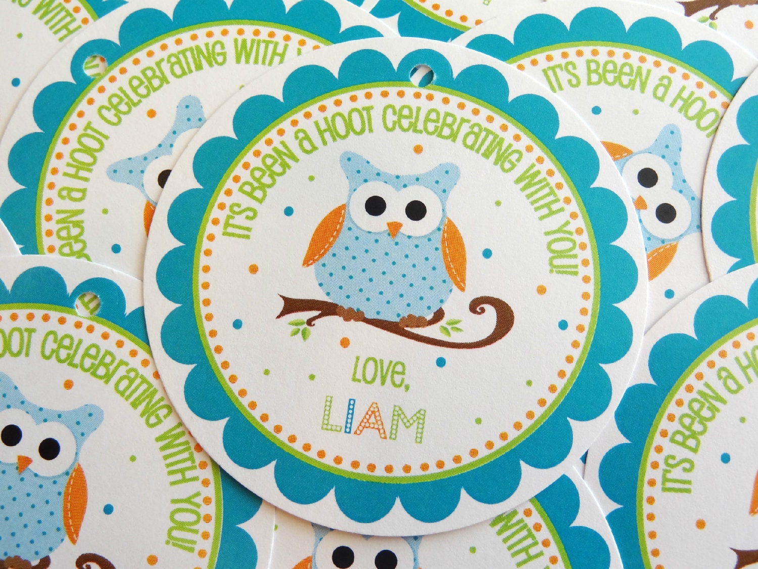 NEW- Hip Birthday Owl for Boys- Custom Favor Tags Il_170x135