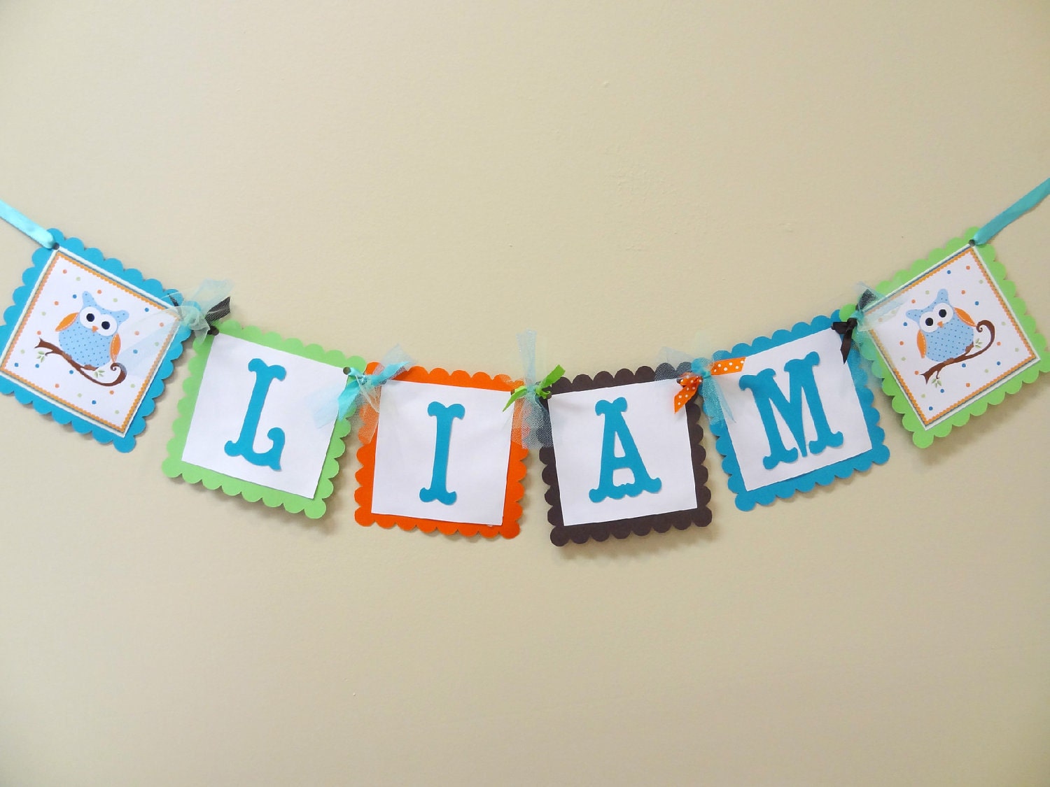 Hip Birthday Owl Name Banner for Boys Il_170x135