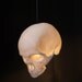 Goliath, Skull Lampshade