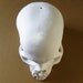 Goliath, Skull Lampshade (small fault)