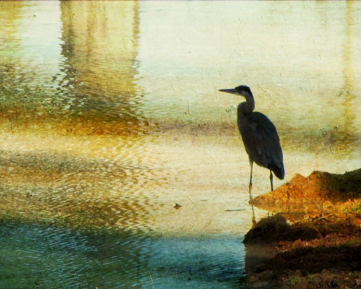 Great Blue Heron Photography, Water Fowl Bird Photography, aqua blue, green, copper, teal wall art, impressionistic water, home decor, 8x10