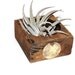 RESERVED FOR PENNIEB vintage carved wood mold - brass numbered tag - 30 - 32 - open storage - vintage industrial