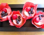 Jenna's Organic Berry Explosion Cupcake