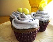 organic hummingbird nectar cupcakes