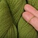 Recycled Extra Fine Merino Yarn, Leaf , 700 yards