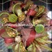 Brown and Maroon Moss Mesh Wreath