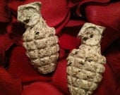 Wildflower Seed Grenades of Love- North American Native