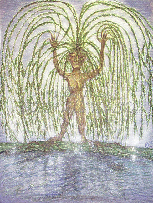 Willow Woman Spirit Cards