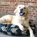 Chevron Dog Bed - Round 38"