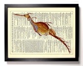 Sea Dragon Seahorse Ocean Animal Upcycled Book Art Upcycled Vintage Book Page Antique Dictionary Buy 2 Get 1 FREE
