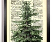 Christmas Tree Holiday Repurposed Upcycled Dictionary Art Vintage Book Print Recycled Vintage Dictionary Page Buy 2 Get 1 FREE