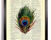 Beautiful Peacock Feather Repurposed Book Upcycled Dictionary Art Vintage Book Print Recycled Vintage Dictionary Page Buy 2 Get 1 FREE - StayGoldMedia