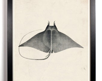The Beautiful Manta Ray Antique Illustration  8 x 10 Giclee Art Print Upcled Collage Recycled Book Art Buy 2 Get 1 FREE