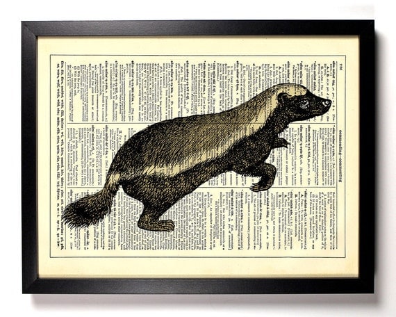 Honey Badger Ratel Animal Repurposed Book Print Upcycled Book Art Upcycled Vintage Book Page Antique Dictionary Buy 2 Get 1 FREE