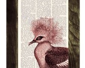 Dictionary page book art print Bird print on Vintage Dictionary Book  dictionary page illustration book print - Buy 3 Get 1 Free art