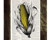 Corncob  Maize Illustration  Print on Vintage Dictionary Book page
