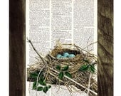 Bird nest print on Book page - Mixed media  art dictionary page printed