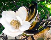 Sasha -- Dramatic vintage style Cream Magnolia fascinator with brown feathers