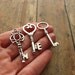 The Victoria Collection - Skeleton Key Mid-Size Assortment in SILVER - Set of 24 Keys - 3 STYLES