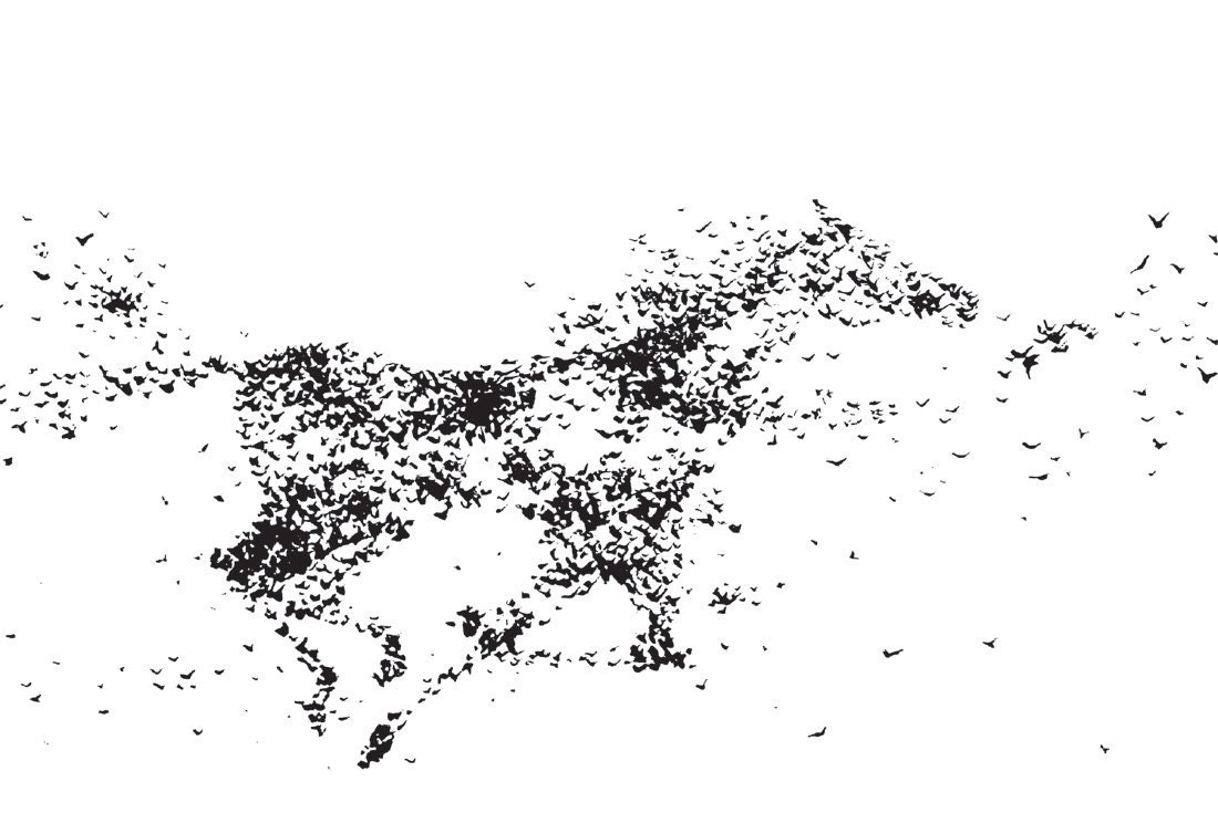 Horse Art Poster Print, 11 x 14, Flock of Birds Creating Horse