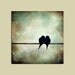 Romantic Birds on Wire Painting...12 x 12... Minimal Rustic