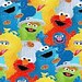 Personalized Birthday Shirt - Sesame Street